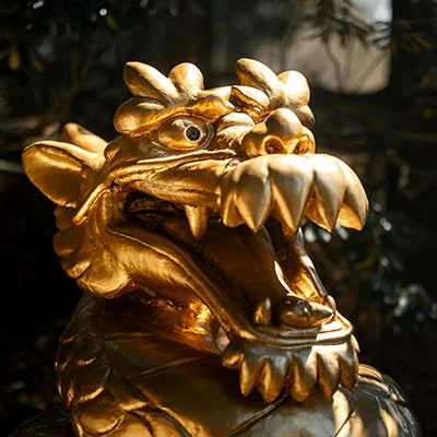 动物医院是干嘛的（动物医院怎么样）